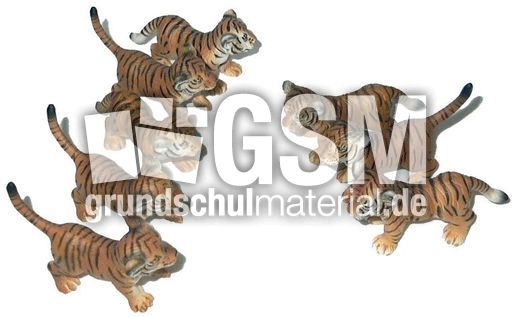 Tiger-5+3.jpg